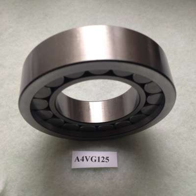 Low price China-made A4VG125 Bearing Hydraulic Pump Parts